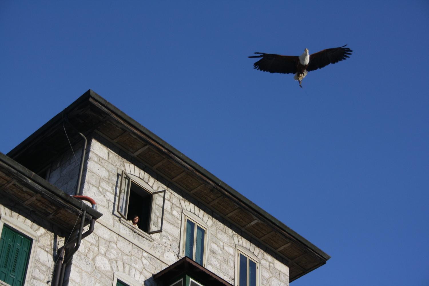Th Borca Di Cadore - Park Hotel Des Dolomites Exterior foto