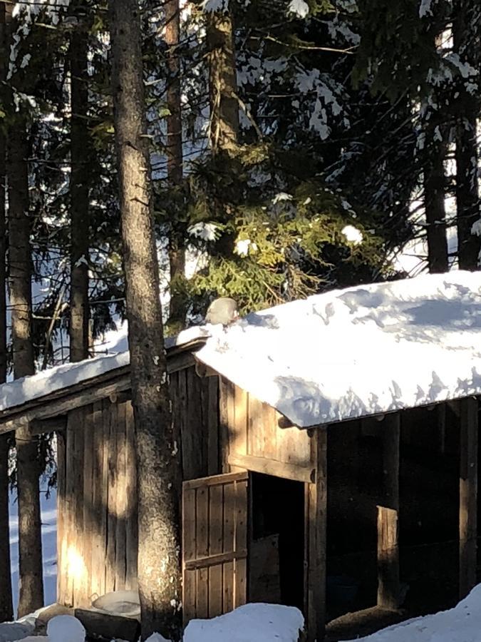 Th Borca Di Cadore - Park Hotel Des Dolomites Exterior foto