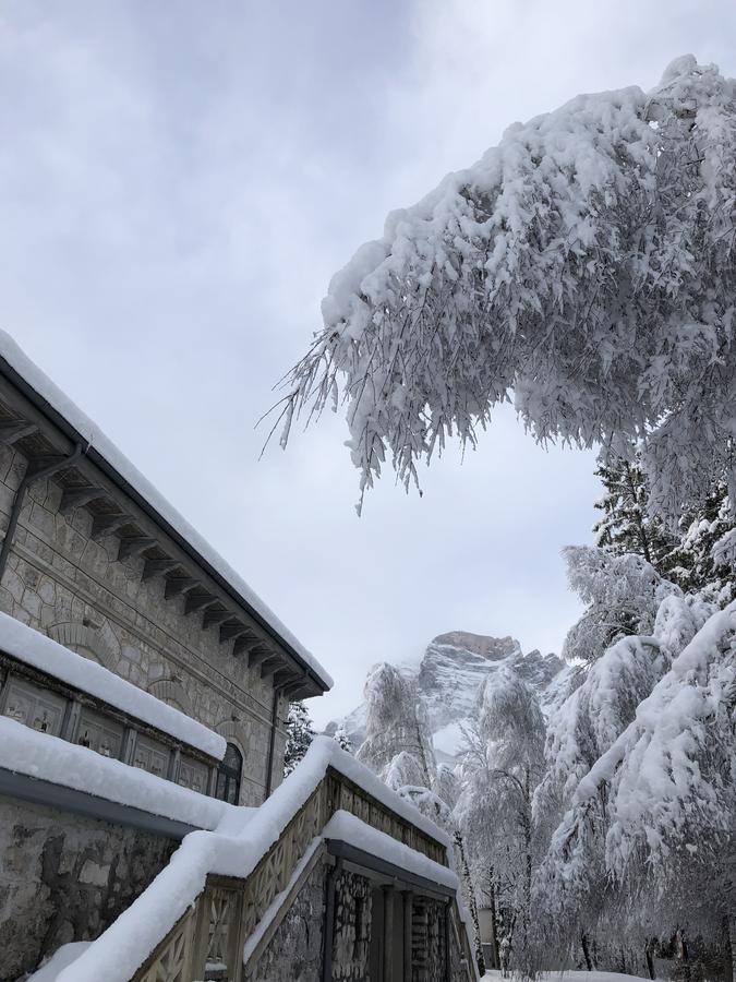 Th Borca Di Cadore - Park Hotel Des Dolomites Exterior foto